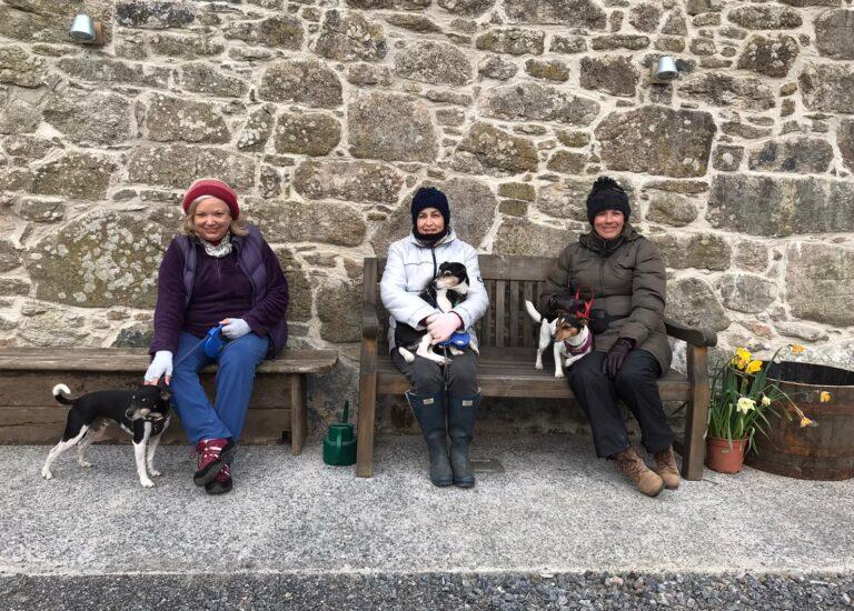 Three Liver Buddies sitting on a bench after going for a walk together with their dogs